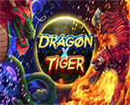 Dragon X Tiger