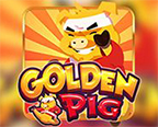 Golden Pig